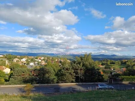 terrain 2020 m² cussac sur loire