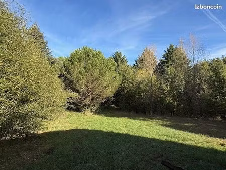 terrain 3556 m² denat