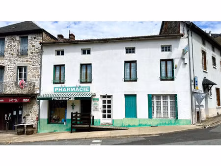 maison t6 ferrières-sur-sichon à vendre