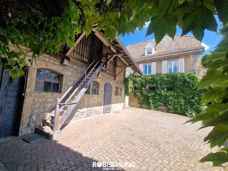 achat maison 8 pièces 361m² altkirch 68130