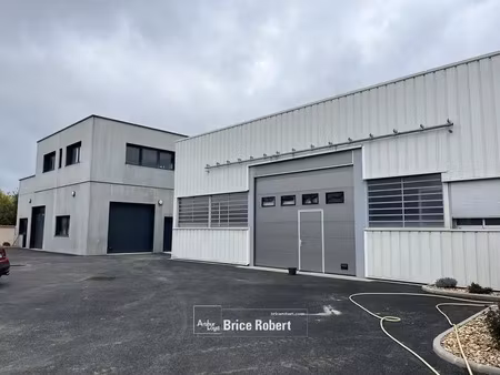 a louer - cellules d'activités avec bureaux aménagés - villeurbanne