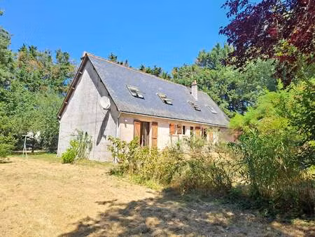 vente maison 4 pièces 120 m² sorigny (37250)