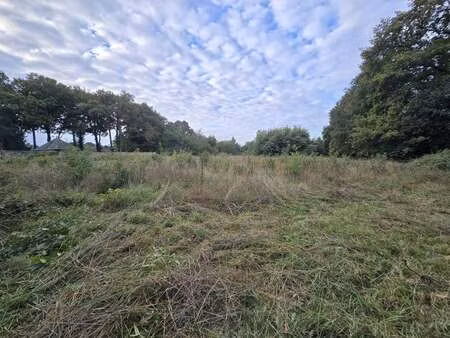 vente terrain à val-d'oust (56460) : à vendre / 1286m² val-d'oust