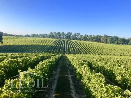 vente terrain 1 pièce