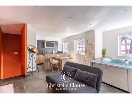 vente immeuble 125 m² rhinau (67860)