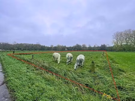 terrain à vendre à grembergen (lftd4) - van der biest & lanckman | zimmo