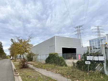 bien professionnel à louer à zutendaal € 15.000 (lfsg5) - hertsens vastgoed | zimmo