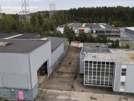 bien professionnel à louer à zutendaal € 20.000 (lfsg7) - hertsens vastgoed | zimmo