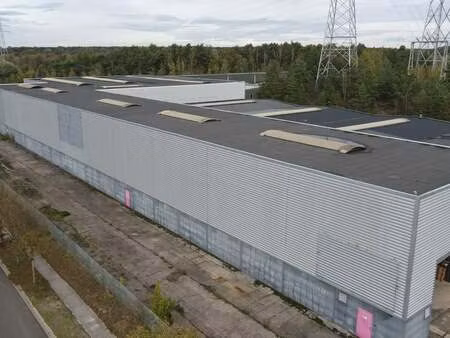 bien professionnel à louer à zutendaal € 8.334 (lfsg9) - hertsens vastgoed | zimmo