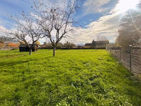 vente terrain 816 m² cranves-sales (74380)