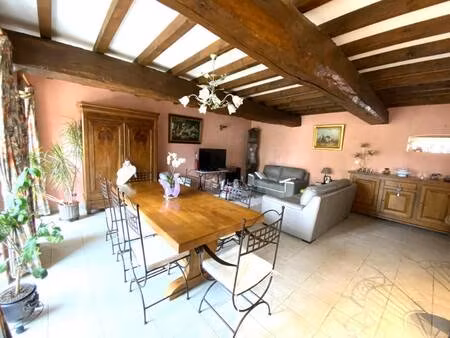 rhone et saone immobilier
