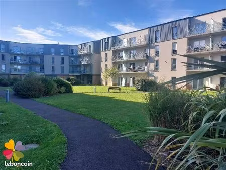 studio 1 pièce 29 m²