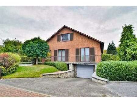 option! option! option!