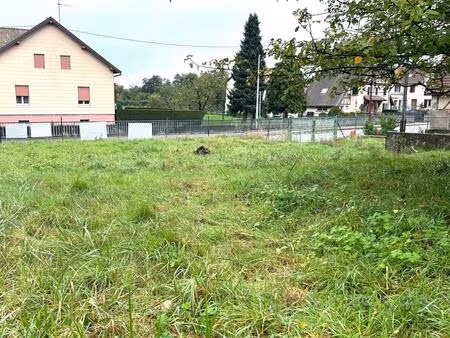 terrain constructible