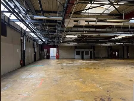 l'edelweiss immobilier