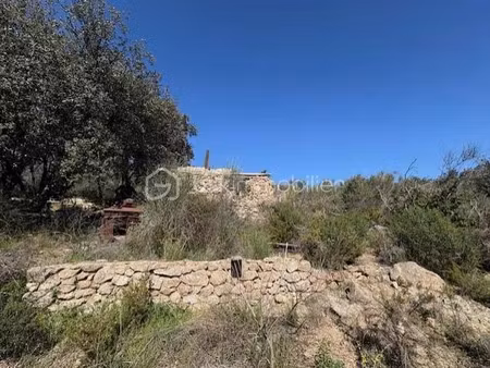 vente terrain 10160 m² à néfiach (66170)  15 000 €