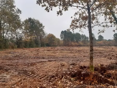vente terrain 1010 m² à gauriaguet (33240)  73 000 €
