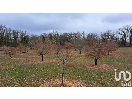 vente truffière 11 755 m²