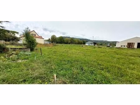 beau terrain plat constructible de 4.93 ares