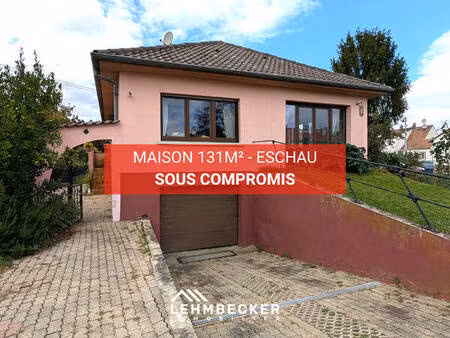 maison 6 pièces 131m² sur 11 56 ares - eschau