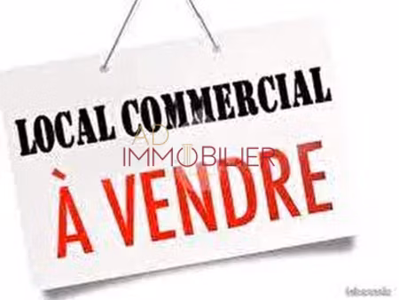 locaux commerciaux 61.19m2 et 32.28m2 rdc avec vitrine - zi