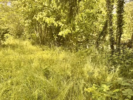 terrain de loisirs de 485 m2 en bord de rivière.