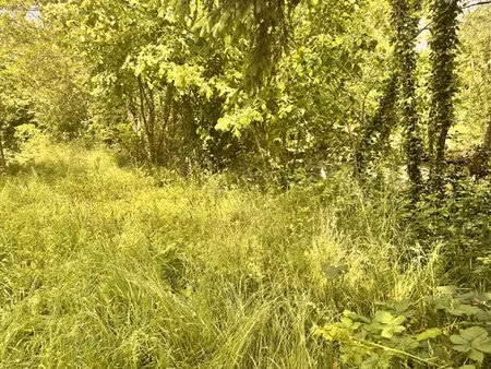 terrain de loisirs de 485 m2 en bord de rivière.