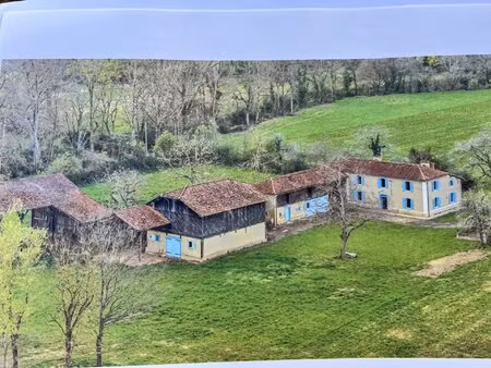 ferme gasconne avec dépendances - 1 ha - toiture neuve