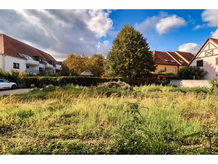 terrain 0 pièces 560 m² à vendre / acheter schiltigheim 67300 ? | era immobilier
