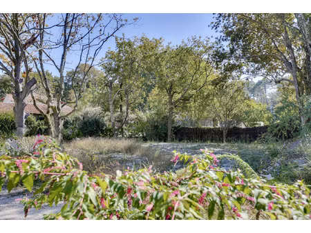 achat terrain 533m² capbreton 40130