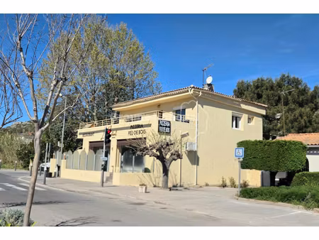 annonce commerce à vendre