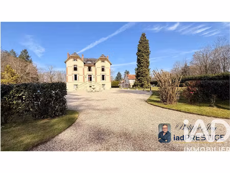 vente maison 14 pièces 440 m² sainte-montaine (18700)