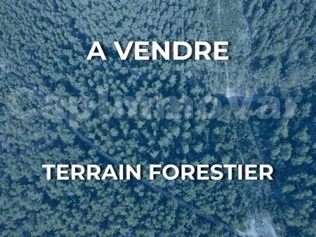 terrain forestier de 19.240m2