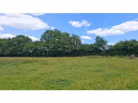 achat terrain 601m²