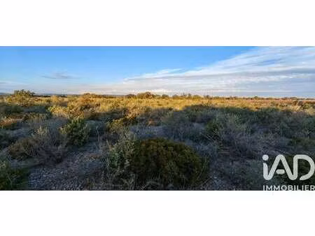 vente terrain à la palme (11480) : à vendre / 3300m² la palme