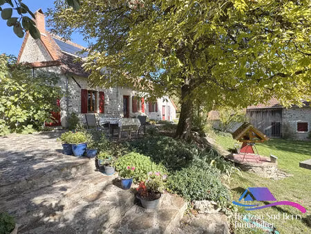 vente maison 8 pièces 220 m² vicq-exemplet (36400)