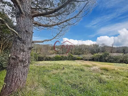 terrain de 555 m2 / hauteurs de cenac