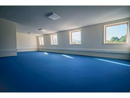 vente locaux professionnels 1 pièce 71 m² à mery (73420)  194 000 €