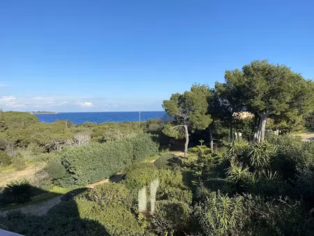 vente maison 7 pièces 224 m² à porto-vecchio (20137)  3 074 000 €