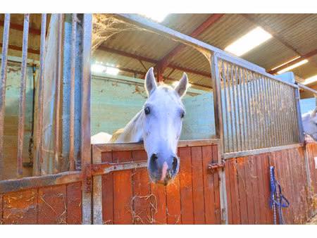 hars dans yonne 1 h 30 de paris