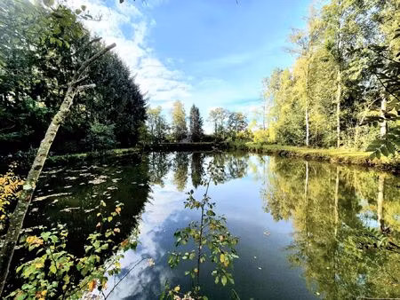 terrain à vendre à rue de la tauminerie brûly (vbd40251)