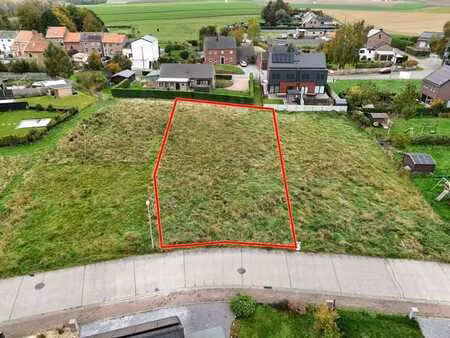 terrain a bâtir à berloz