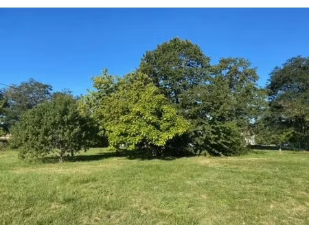 vente terrain 517 m² à roost-warendin (59286)  71 500 €