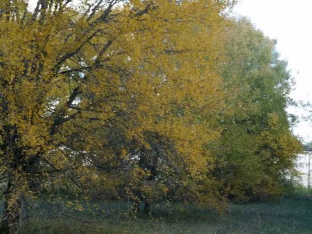 terrain constructible