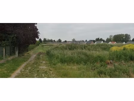 vente terrain 545 m² à monchecourt (59234)  59 200 €