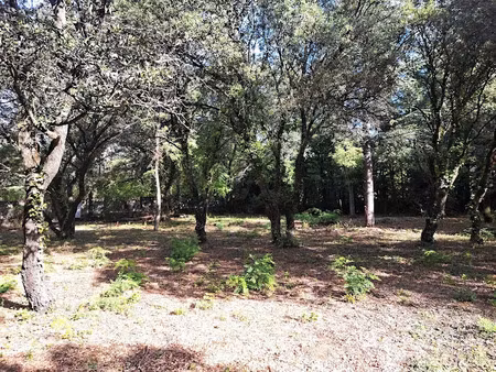 vente terrain 1200 m² à cabrières-d'avignon (84220)  285 000 €
