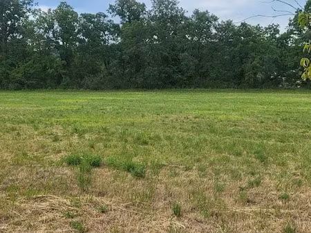 vente terrain 1900 m² à lisle (24350)  29 000 €