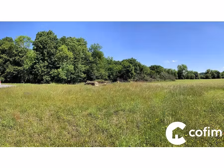 vente terrain à batir 2814 m² à castétis (64300)  38 000 €