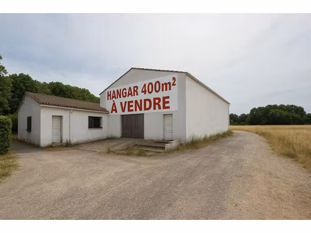 vente locaux professionnels 400 m² à villalier (11600)  149 000 €