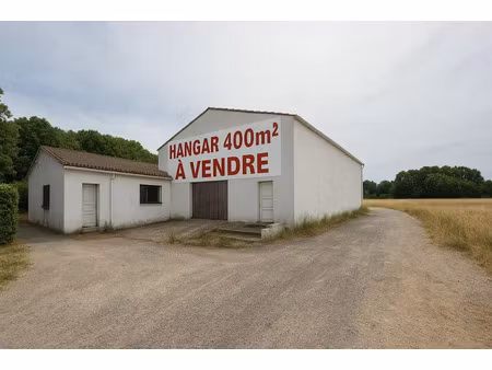vente locaux professionnels 400 m² à villalier (11600)  99 900 €